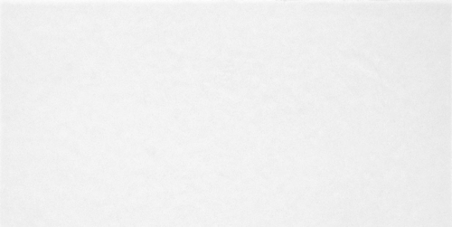 TWU09MNR020 плитка облицовочная Monocolor 249x500x8,5