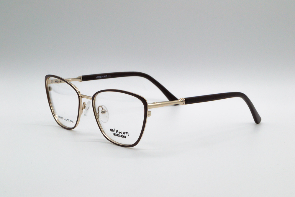 Изг. оправы Amshar AM8563 C4