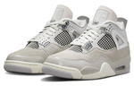 Кроссовки Jordan Air Jordan 4 "Light Iron Ore" "Frozen Moments" (Женская размерная сетка)