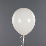 Шар (12''/30 см) Retro, Топленое молоко, пастель ретро, 50 шт.