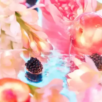 Roja Elysium Pour Femme 75ml Eau de Parfum