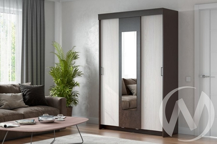 Шкаф-купе ШКП 2