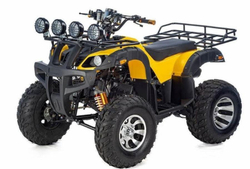 Квадроцикл RAPTOR MAX PRO 250 (жёлтый/чёрный)