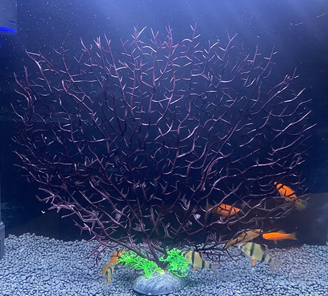 Искусственный коралл для аквариума Горгонария, 30х25 см