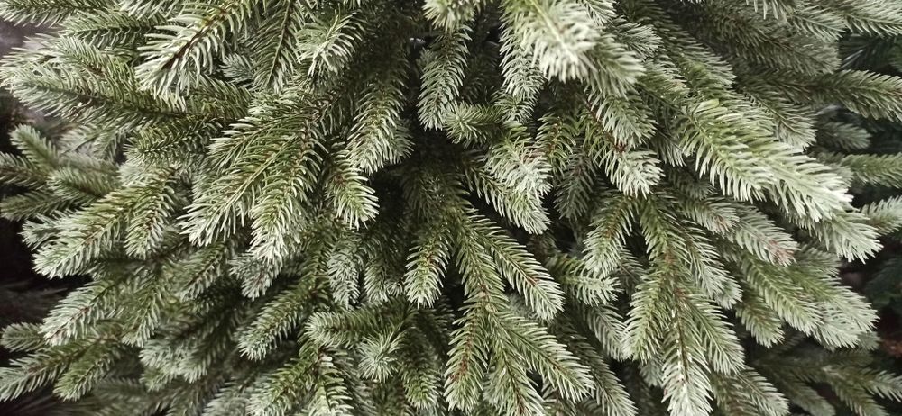 Ель искусственная «Архангельская» (Литая хвоя) от 1,2 м до 3 м