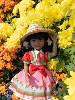 Кукла Ruby Red Кайра 31см (ограниченная серия)