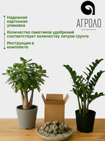 Грунт для растений минеральный АГРОЛО Основа, универсальный, для кактусов и суккулентов, ароидных, для фитильного полива