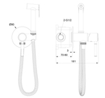 Смеситель с гигиеническим душем встраиваемый WONZON & WOGHAND TOR, Хром (WW-88829073-CR)