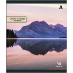 Тетрадь 36 л., А5, клетка, Alingar "Good nature", скрепка, офсет, мелованная бумага, 5 дизайнов в пленке т/у