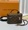 Сумка Louis Vuitton Vanity Chain Pouch коричневая