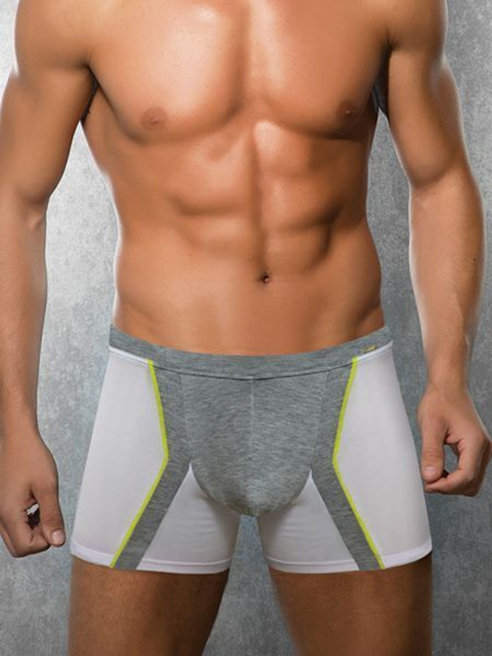 Cветло-серые трусы-боксеры со вставками Doreanse Supporters Boxer (Размер: S) (Цвет: светло-серый)