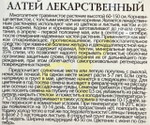 Алтей Лекарственный 0,1 г СМЗ-274