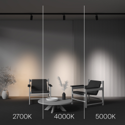 Трековый трехфазный светильник Maytoni Focus Led TR197-3-20WCCT-M-B