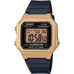 Мужские наручные часы Casio Collection W-217HM-9A