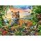 Puzzle Tiger at Sunset 300 pcs