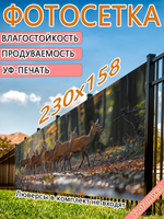 Фотосетка 230х158 светостойкая