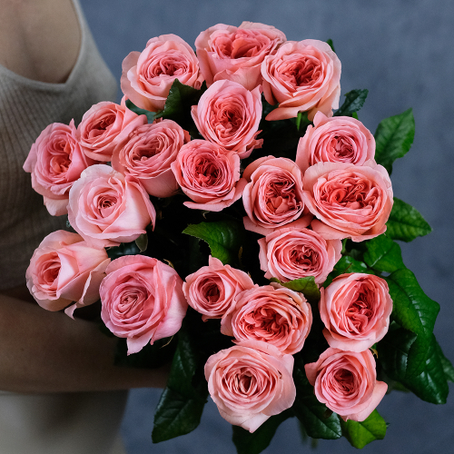 Купить Розы пионовидные London Eye