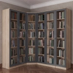 Книжный угловой №7 (мадес)