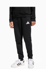 Штаны adidas Entrada 26 Sweat Junior - черный