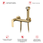 Гигиенический душ со смесителем Raglo R03.51.03, сатин золотой