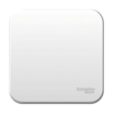 Выключатель 1-кл. ОП Blanca 6А IP20 (сх. 1) 250В бел. SE BLNVA061001