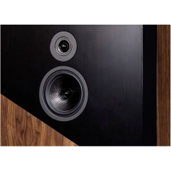 Напольная акустика Davis Acoustics THE WALL