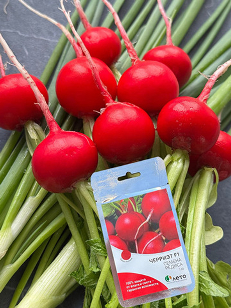 Cемена редиса Черриэт F1, Sakata, 1 гр.
