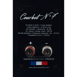 Напольная акустика Davis Acoustics Courbet 7