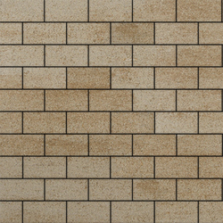 Тротуарная плитка ПРЯМОУГОЛЬНИК 200x100 мм - Искусственный камень Степняк