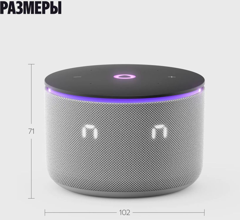 Умная колонка ЯНДЕКС Станция Мини 3 Про, 18Вт, с Алисой, серый Zigbee [yndx-00059gry]