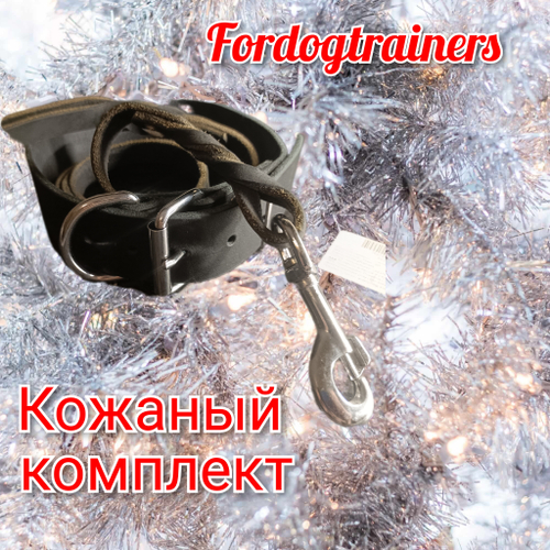 Комплект ошейник и поводок из натуральной кожи