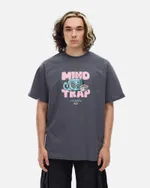 Футболка Anteater 361 серая