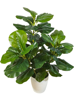 Искусственное растение Фикус Лирата зеленый в кашпо
