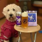 Пивной календарь: 365 этикеток крафтового пива