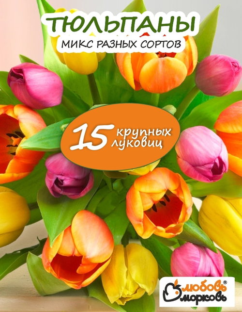 Тюльпан Луковица, Микс сортов 15 шт