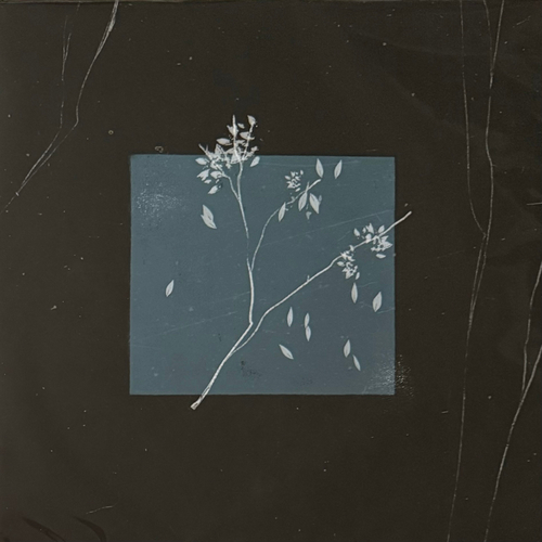 Bird Bone ‎– Лейтмотив (Россия 2024г.)