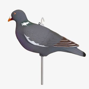 Чучела голубей