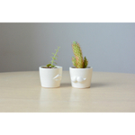 Набор для выращивания eco мини-кашпо «Усы»