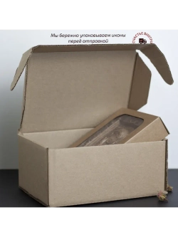 Неувядаемый Цвет икона Божией Матери деревянная, ясень