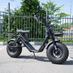 EcoMoto Lion Off-Road E1200W Back Edition
