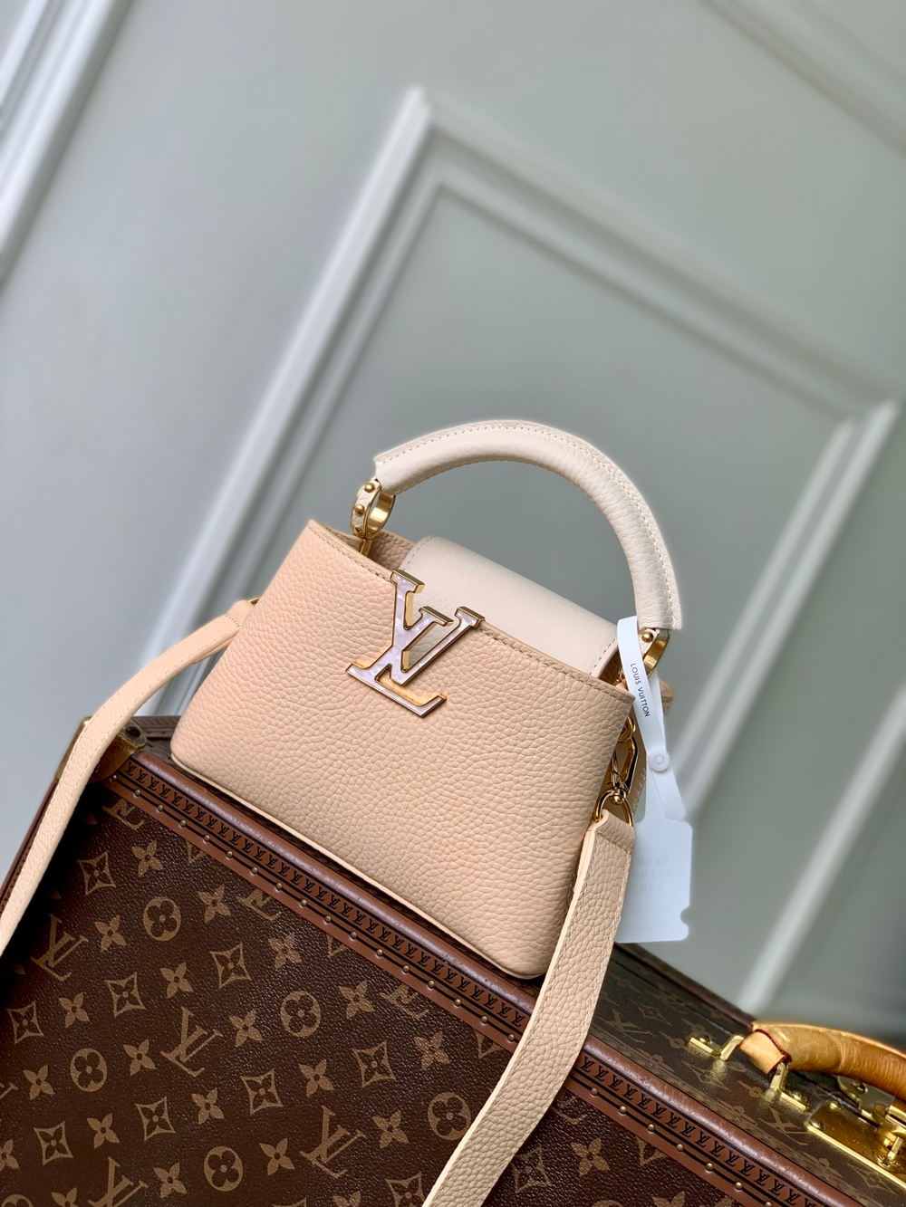 Louis Vuitton Capucines Mini
