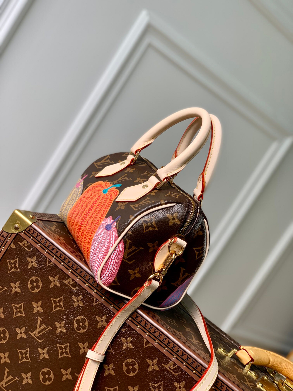 Louis Vuitton Speedy 20