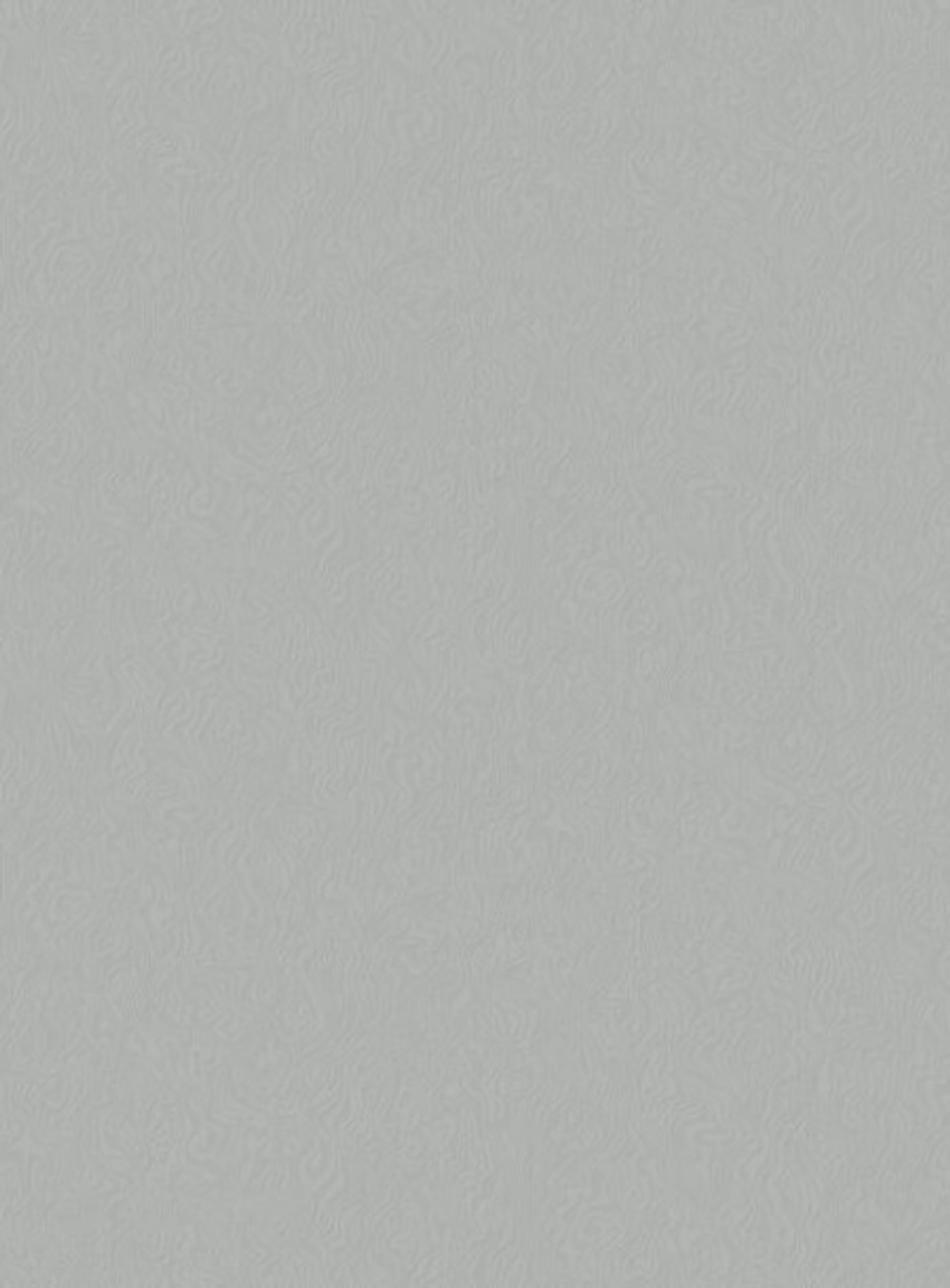 Сальвадор-фон 21 светло-серая