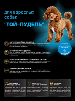Корм сухой для взрослых собак породы Той-пудель, с лососем, 12 кг, QUATTRO