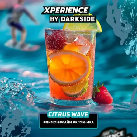 DARKSIDE XPERIENCE - Citrus Wave(120г)