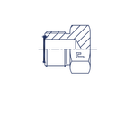 Заглушка V (Ш) ORFS 1.11/16-12