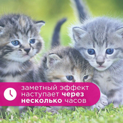 Спрей Brizberry ( Apicenna ) Ликвидатор пятен, меток и запаха для кошек, 500 мл