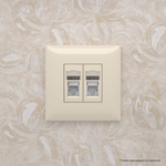 Компьютерная розетка RJ-45 в стену, кат.5e двойная экранированная,"Avanti", "Ванильная дымка"