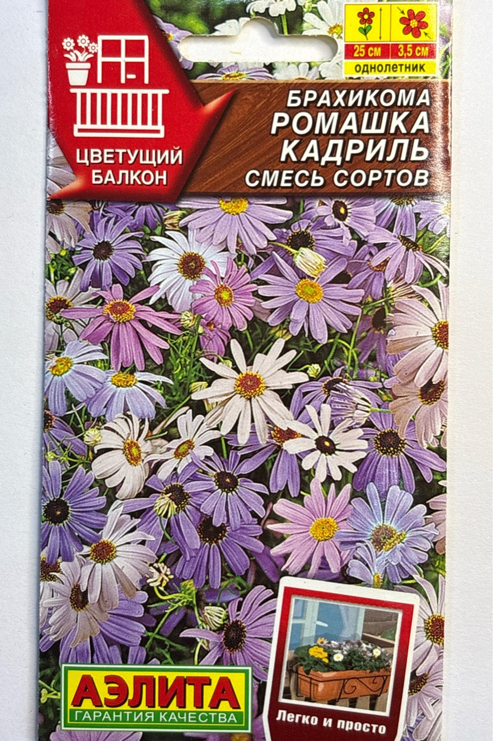 Брахикома Ромашка кадриль, смесь сортов СМЦ-739