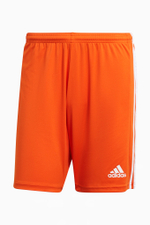 Шорты adidas Squadra 21